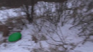 У меня две тёщи! Стол на НОВЫЙ 2021 ГОД! НАША ЖИЗНЬ! Подарки под ёлкой!