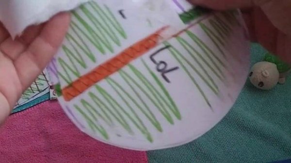 Мега распаковка бумажных сюрпризов с Татошкой! 🐢❤️