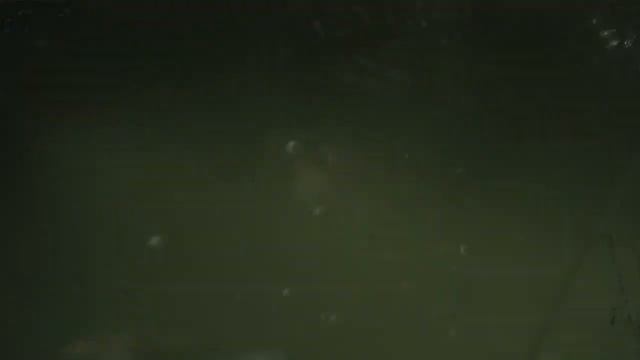 WHAT'S IN THE WATER???MONSTER CATFISH,METRO EXODUS смотреть онлайн