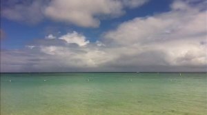 Diva - Your body my body everybody move your body