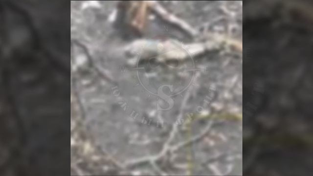 ⚡️СВО 18+ Проверка на прочность кастрюли свиньи. смотреть онлайн