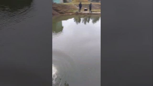 запуск форели с бонусом смотреть онлайн