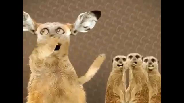 ПОЮЩИЕ КОТЫ - МАЙЯ ХИ, МАЙЯ ХУ... смотреть онлайн