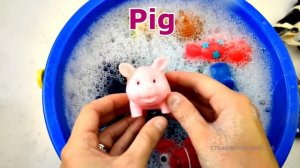 Learn Sea Animal and Wild Zoo Animals Names Education Video Animal Toys For Kids