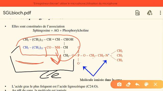 Cours des lipides biochimie structurale الدارجة partie 9 (la fin) смотреть онлайн