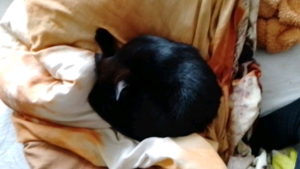 пока лето смотреть онлайн