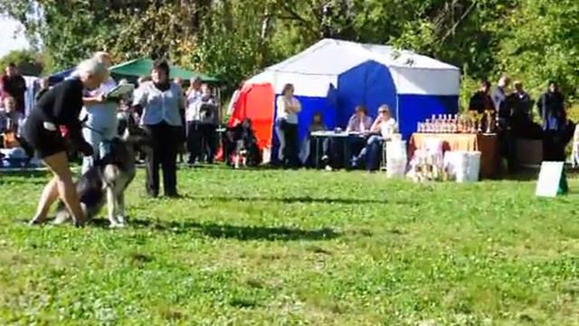 DSC 0031 тестирование смотреть онлайн