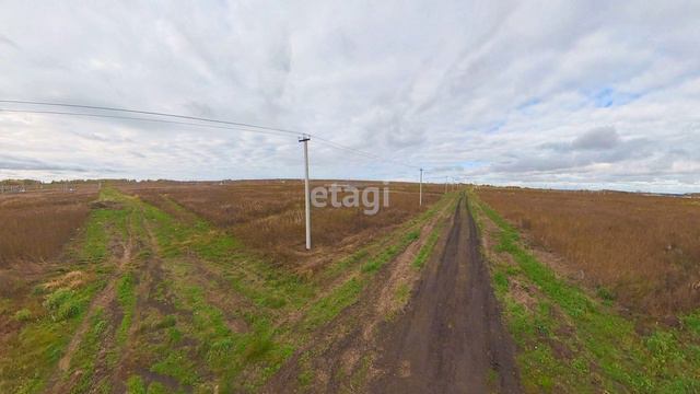 2495186 смотреть онлайн