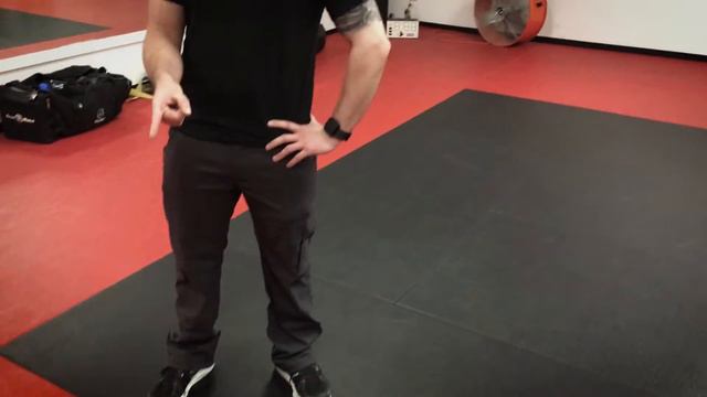 "An evening at Fit and Fearless" - Mannequin Challenge смотреть онлайн