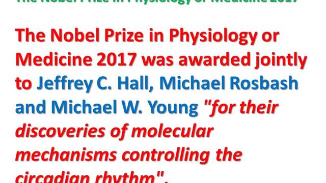 NOBEL PRIZE 2017 (All Categories) смотреть онлайн