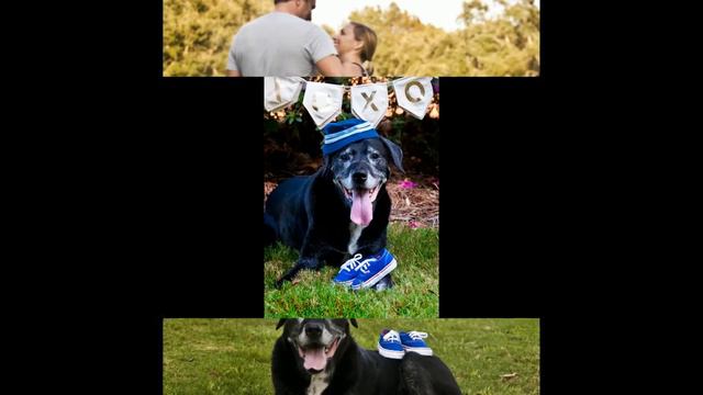 My BFF is PREGNANT!!!! / Daniel Isalnd SC photographer смотреть онлайн