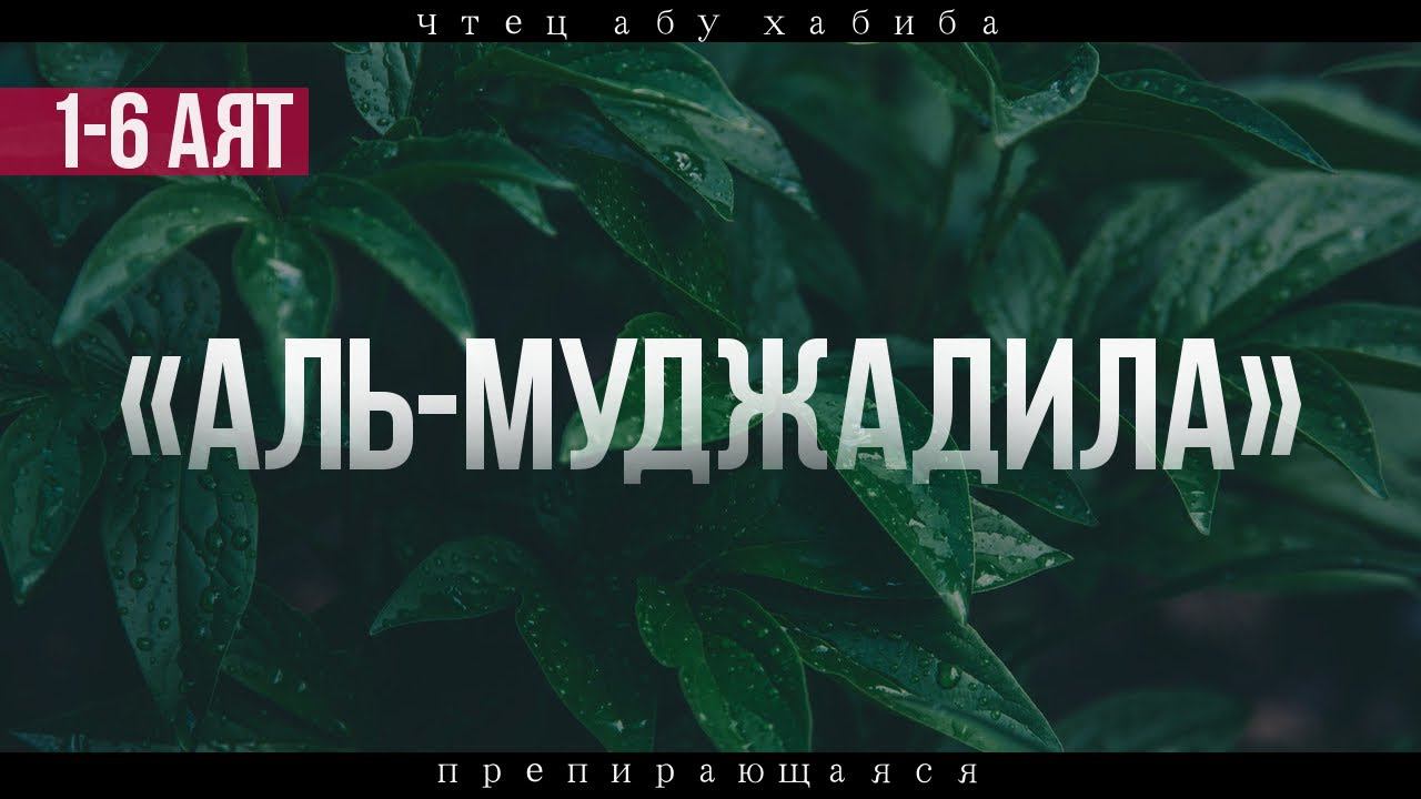 Сура 58 "Аль-Муджадила" 1-6 аят Абу Хабиба смотреть онлайн