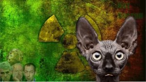 У предателей сдали нервишки / Кот Костян