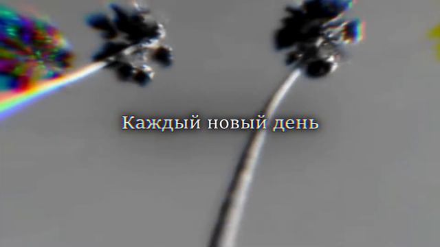 TVETH - Сapital Intro Deluxe (lyric)