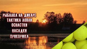 Рыбалка на дикаре Ловля карпа на флэт фидер