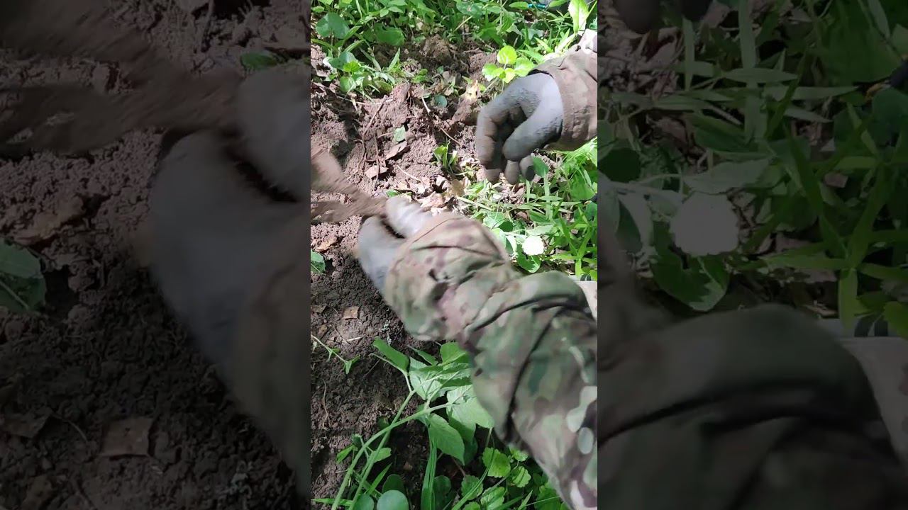 Вилка Ложка смотреть онлайн