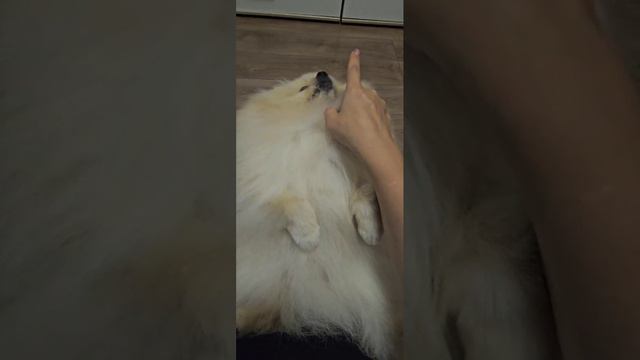 милаш смотреть онлайн