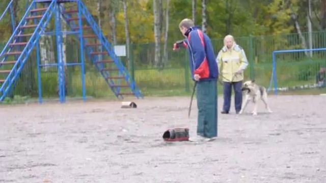 DSC 0002 смотреть онлайн