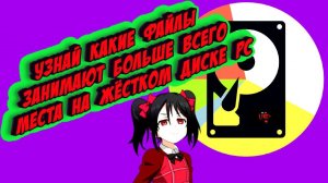 Узнай - какие файлы занимают больше всего места на жёстком диске PC и удали их !