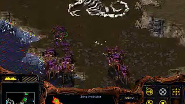 Starcraft Brood War (original version) Zerg mission 06 Fury of the Swarm Speedrun смотреть онлайн