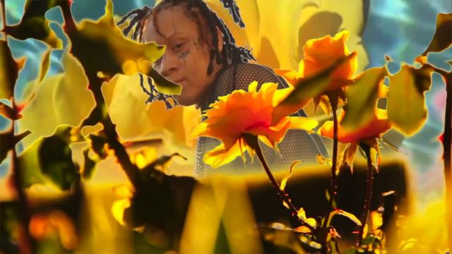 Trippie Redd - Til The End Of Time (Visualizer) смотреть онлайн