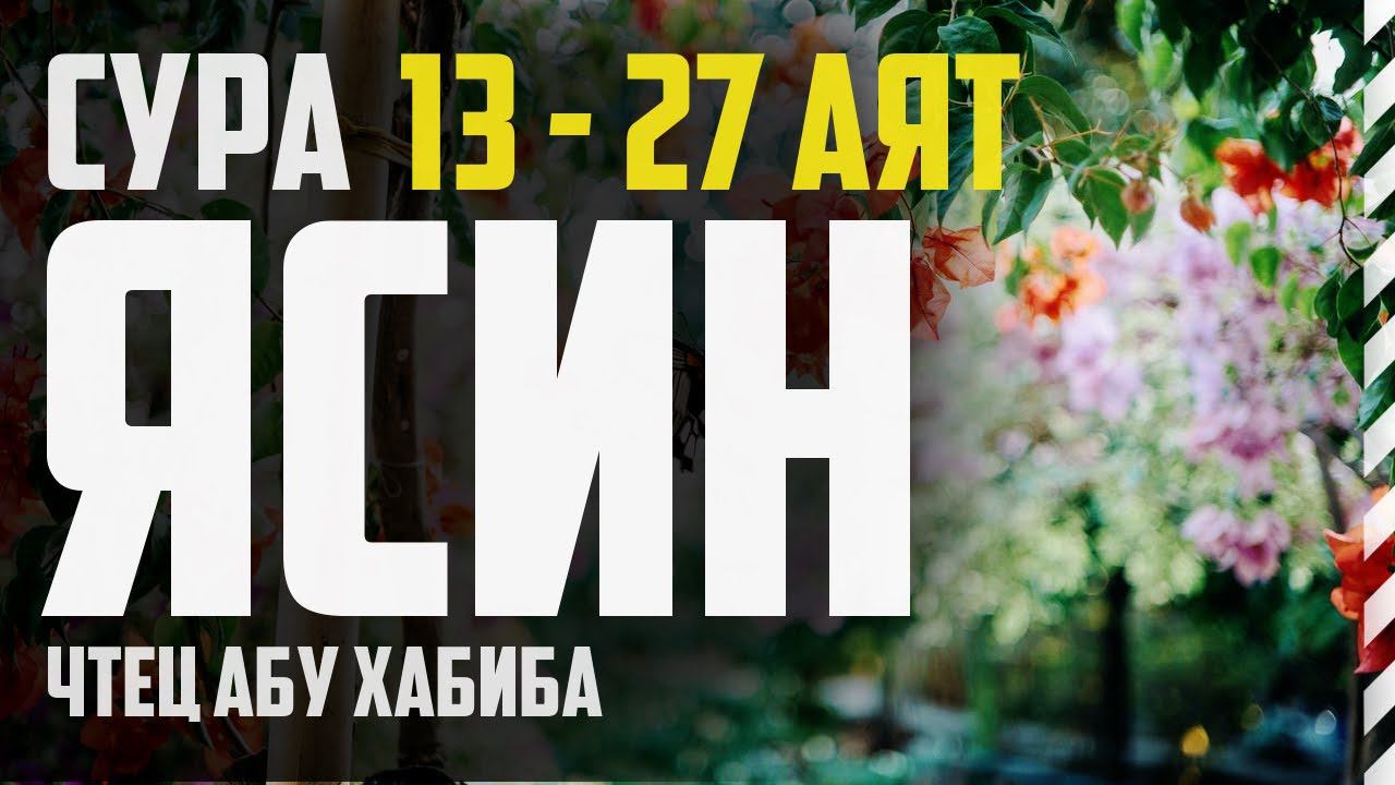Cура Ясин 13-27 аят. Абу Хабиба