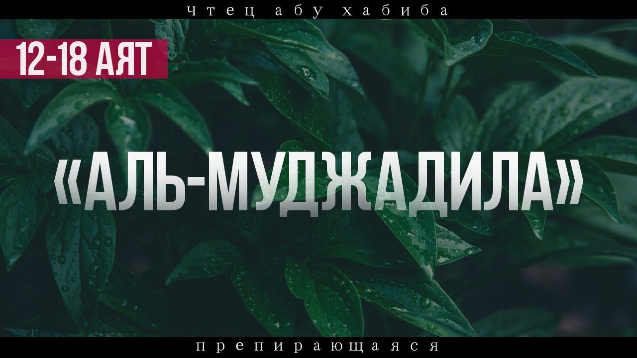 Сура 58 "Аль-Муджадила" 12-18 аят Абу Хабиба смотреть онлайн