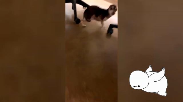 Oh no!! Looks like babies are... 💩💩💩💨💨💨 #002 - Funny Baby Farts - Funny Trendy Everyday смотреть онлайн