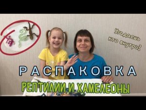 РАСПАКОВКА РЕПТИЛИЙ ХАМЕЛЕОНОВ Опыт на смену цвета! Угадаешь кто внутри???