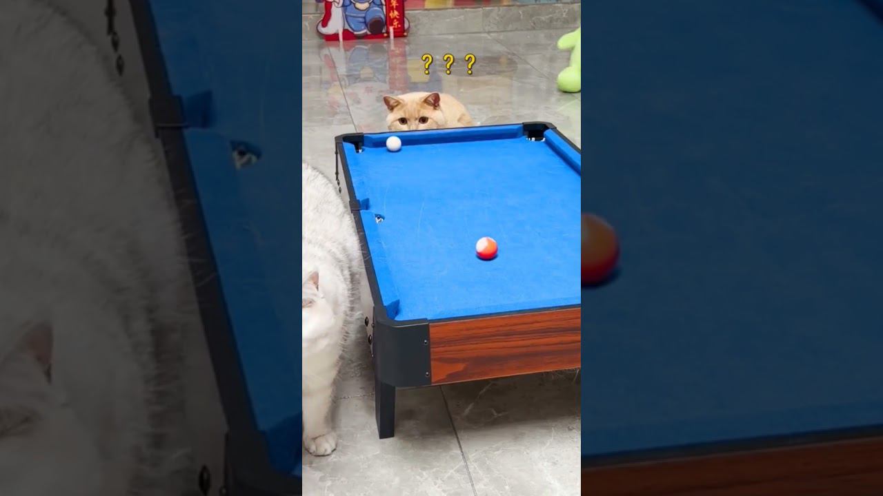 28 июля 2023 г.