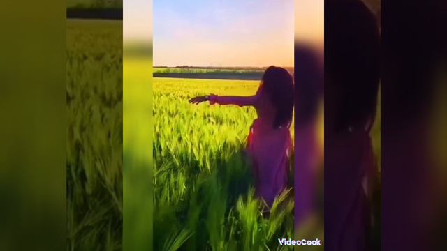 1000281908.mp4 смотреть онлайн