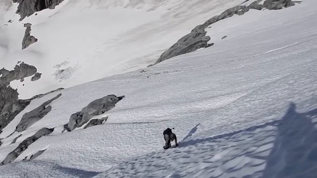 Ice Climbing Free Soloist | The Final Days of Marc-Andre Leclerc | Scary Fascinating смотреть онлайн