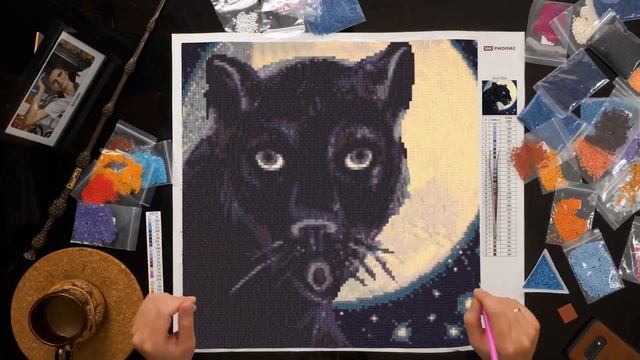 RIOLIS diamond mosaic kit review. AM0045 Bagira смотреть онлайн