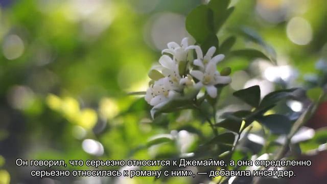 Джиллиан Андерсон вернула ушедшего к любовнице бойфренда смотреть онлайн