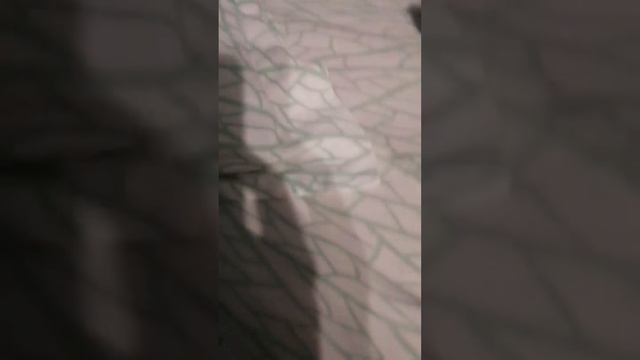 Лягушонок читает #shorts смотреть онлайн