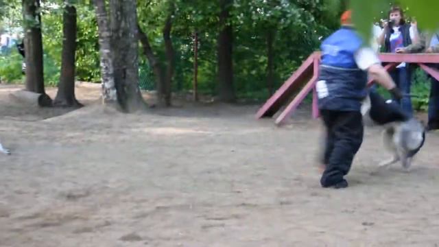 DSC 0076Голджин Амалия смотреть онлайн