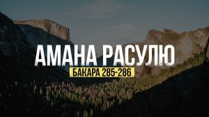 Амана Расулю. Абу Хабиба