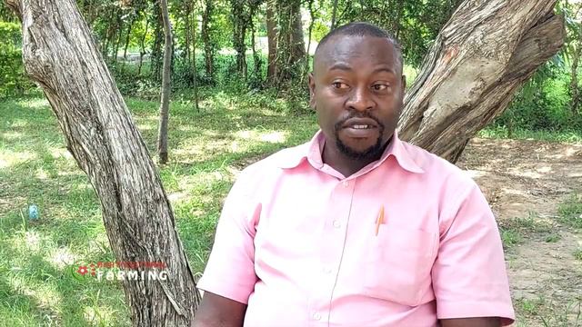 How much you need to start Tomato farming business - Horticulture смотреть онлайн