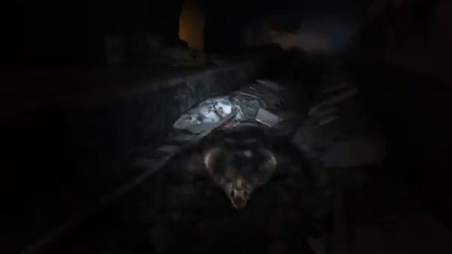 МЕТРО 2033[часть11]ТУРГЕНЕВСКАЯ смотреть онлайн