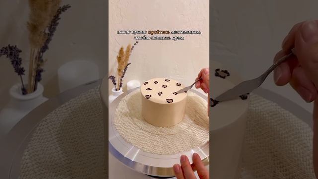 Туториал - как сделать леопардовый бенто! 🐆