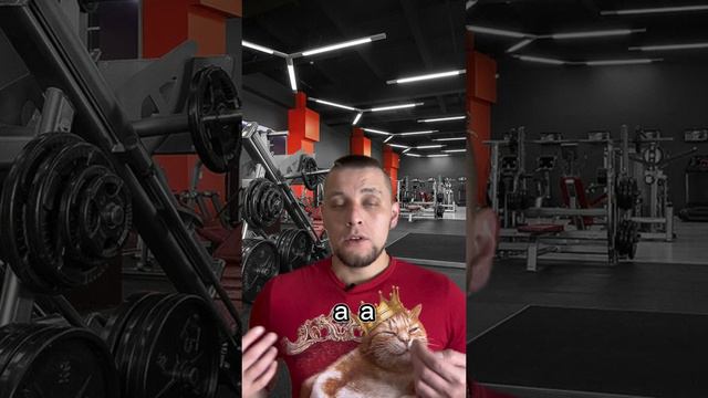 Почему дисциплина намного лучше, чем мотивация? смотреть онлайн