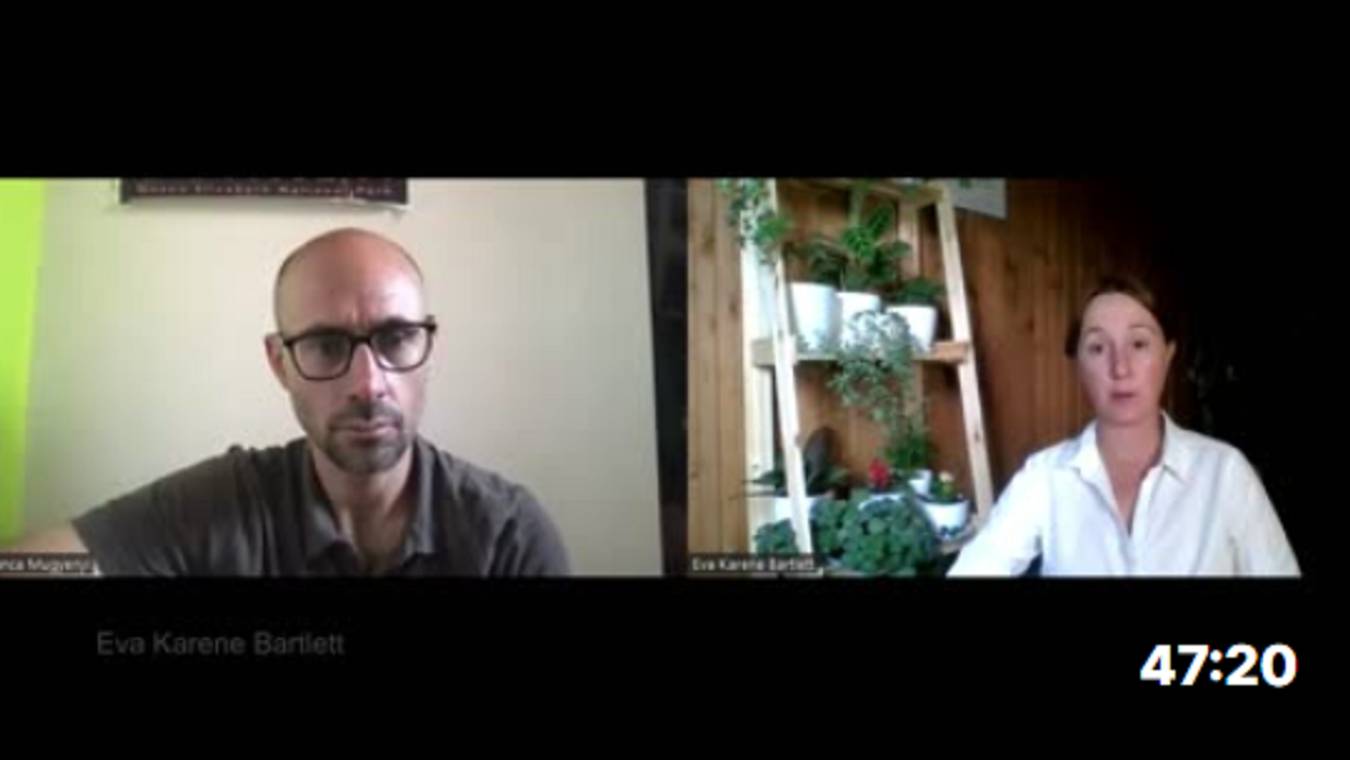 Canadian journalist Yves Engler on Canada's complity in Israel's genocide of Palestinians in Gaza