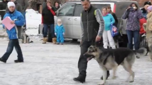 DSC 0212 Рядовость смотреть онлайн