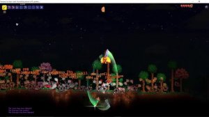 Terraria Speedrun World Record