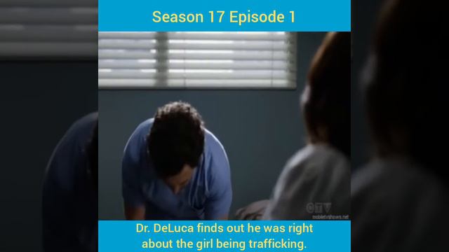 Grey's Anatomy Season 17 Episode 1