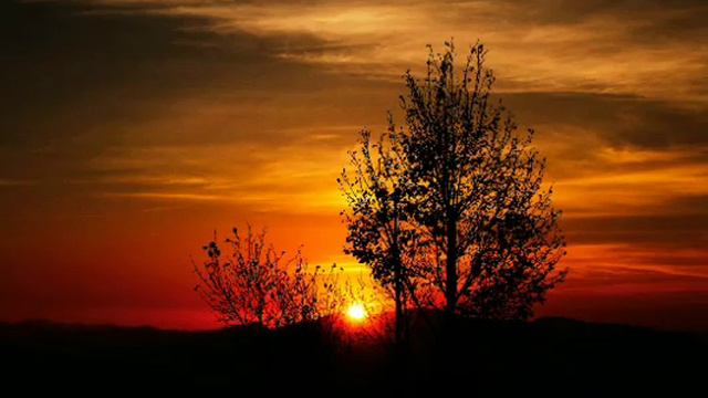 Culture | Anno Domini Beats смотреть онлайн