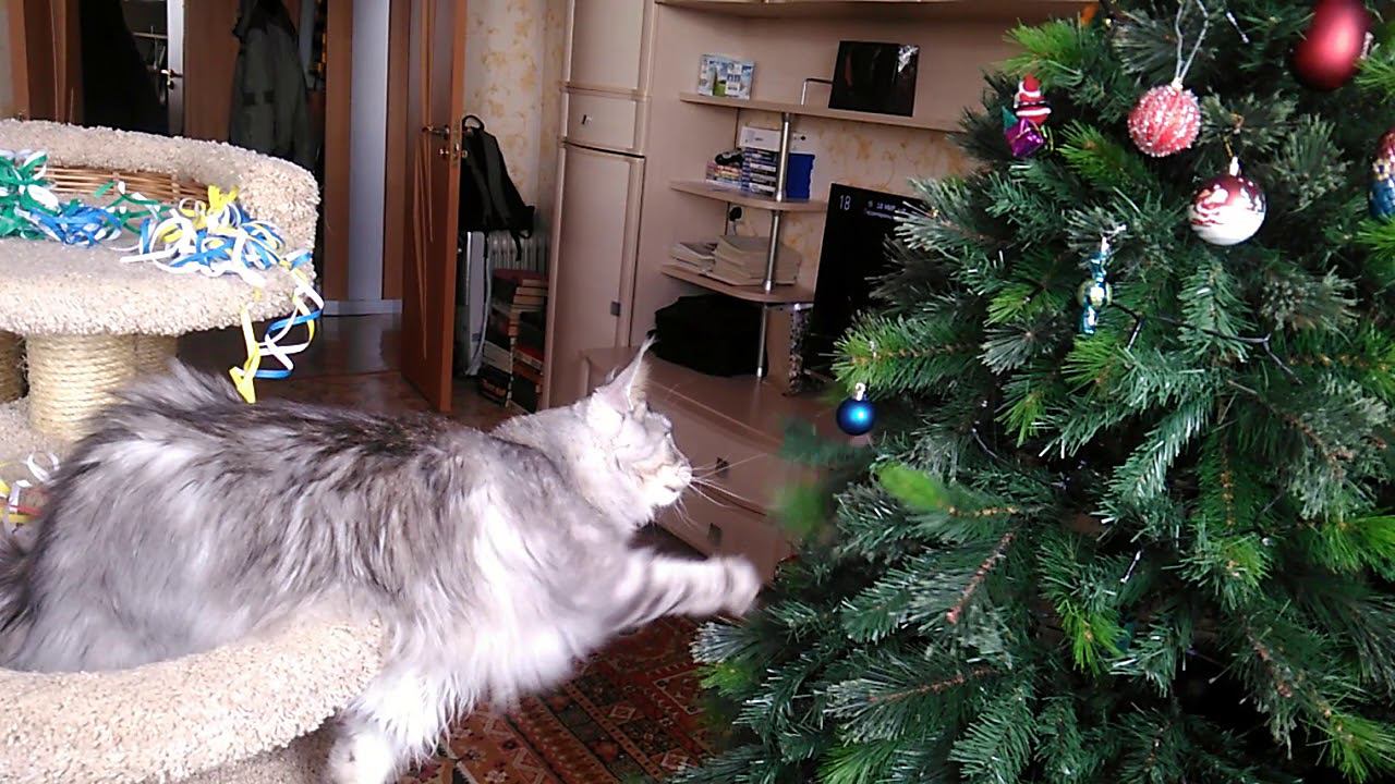 Праздник к нам приходит смотреть онлайн