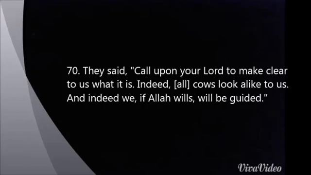 Allah commands you to slaughter a cow! Recitation by Shaikh Al Munajjid смотреть онлайн