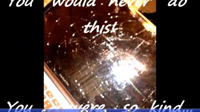 Руслан Салей и Наталья Лапина  R Salei And N Lapina  Xvid