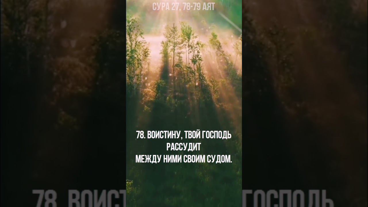 Сура 27, 78-79 аят #shorts смотреть онлайн